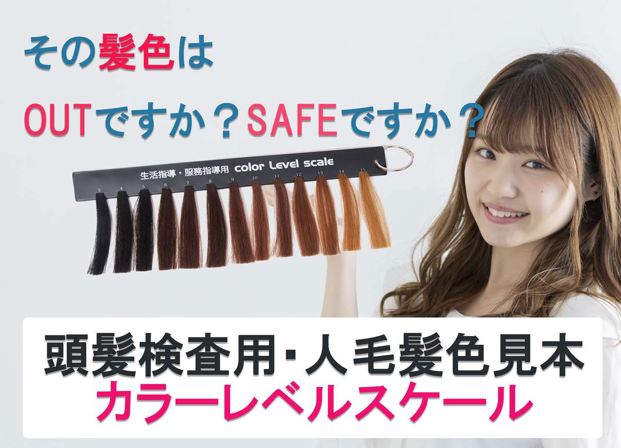 ヘアカラー・服務規程・髪色検査・頭髪検査・カラーレベルスケール